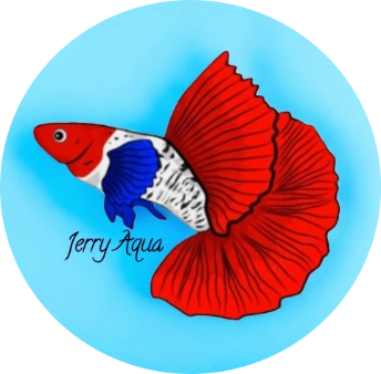 jerry aqua